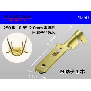 Photo: [Yazaki] 250 type male terminal (for the 0.85-2.0mm2 electric wire) male terminal /M250