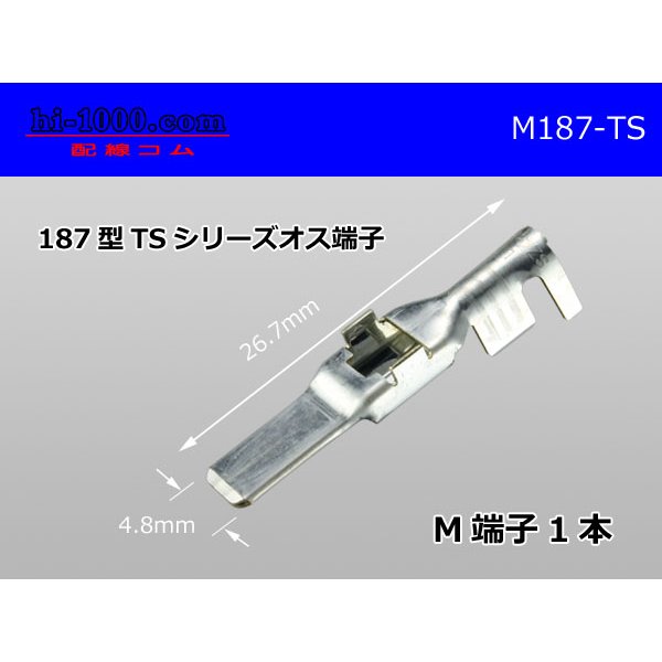 Photo1: 187 Type  [SWS] TS series M Terminal /M187-TS (1)