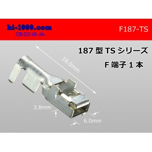 Photo: 187 Type  [SWS] TS series F Terminal /F187-TS