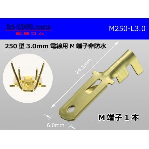 Photo: [Yazaki] 250 type male terminal (for the 3.0mm2 electric wire) male terminal /M250-L-3.0