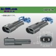 Photo2: Delphi [Delphi] HB4 [color Gray] M Connector only ( No terminal )/HB4-M-tr (2)