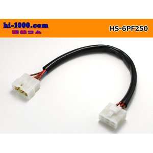 Photo: both ends 6P(250 Type ) Harness /HS-6PF250