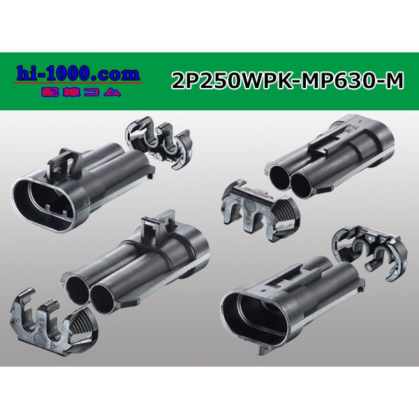 Photo2: ●[REINSHAGEN]  MP630 series 2 pole waterproofing M connector (no terminal)/2P250WP-MP630-M-tr  (2)