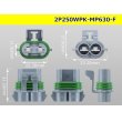 Photo3: ●[REINSHAGEN]  MP630 series 2 pole waterproofing F connector (no terminal)/2P250WP-MP630-F-tr  (3)